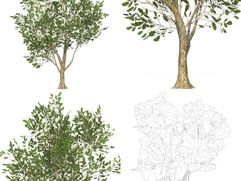 10 Game Ready Big Tree Collection 3D-Modell