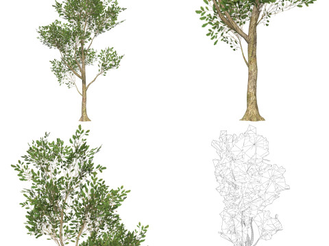 10 Game Ready Big Tree Collection 3D-Modell