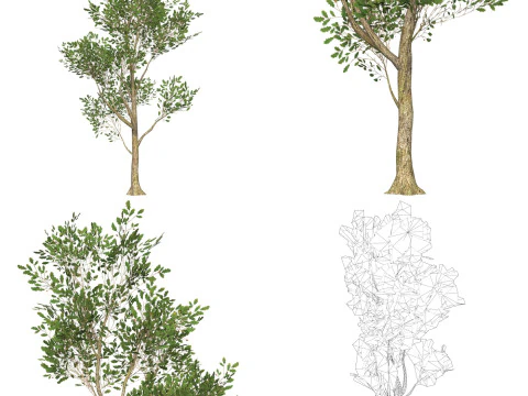 10 Game Ready Big Tree Collection 3D Model