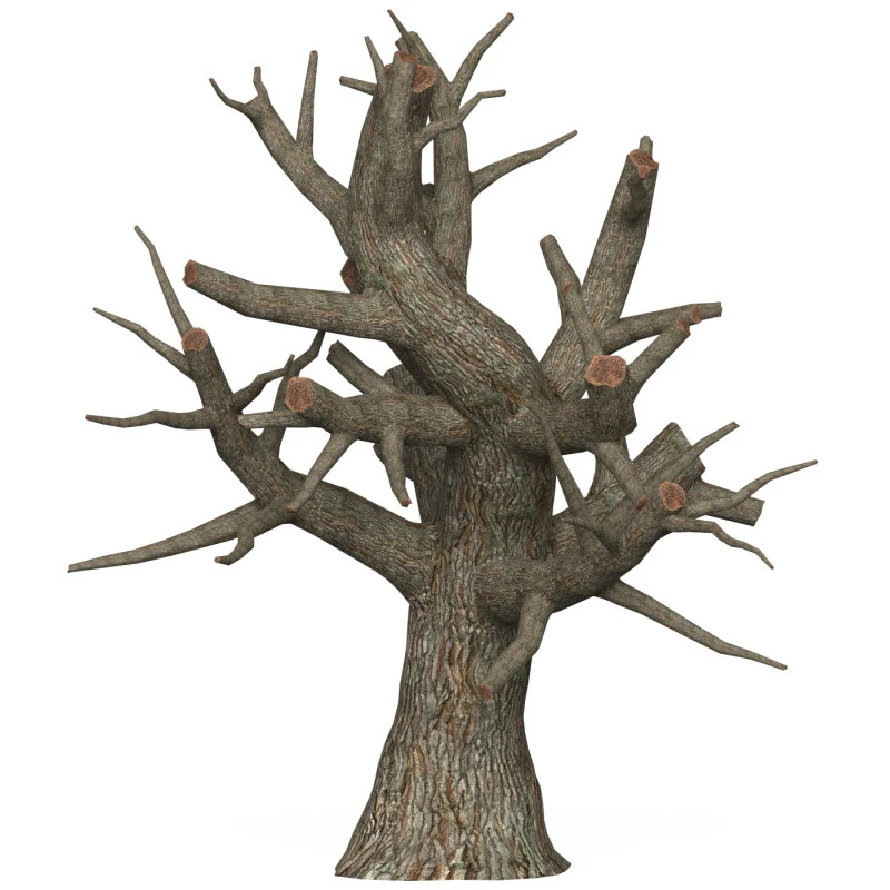 Game Ready Dead Tree 01 3D Model .c4d .max .obj .3ds .fbx .stl .blend 