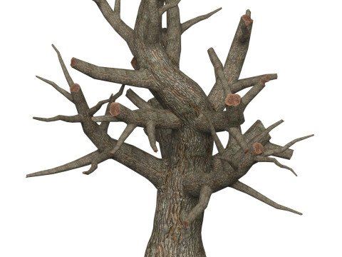 Game Ready Dead Tree 01 Modelo 3D