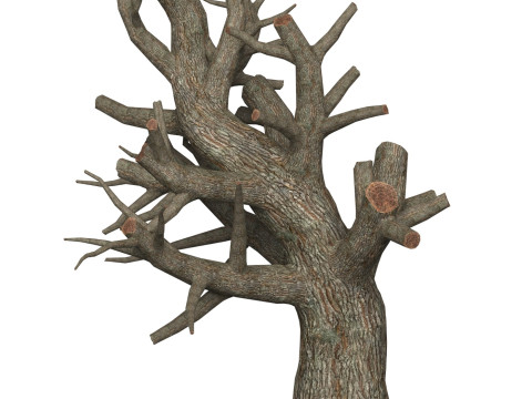 Game Ready Dead Tree 01 3D Model
