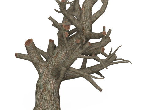 Game Ready Dead Tree 01 3D Model