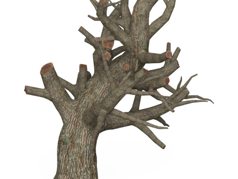 Game Ready Dead Tree 01 3D Model
