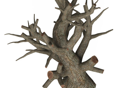 Game Ready Dead Tree 01 3D Model