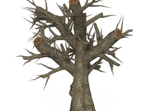 Game Ready Dead Tree 02 3D 모델