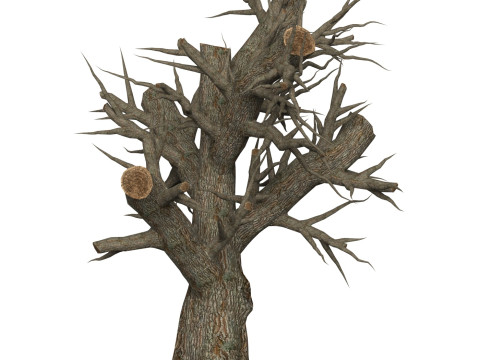 Game Ready Dead Tree 02 3D 모델