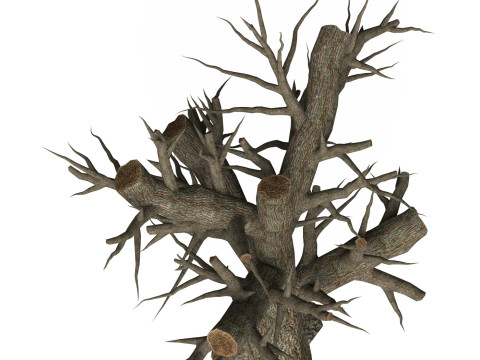 Game Ready Dead Tree 02 3D 모델