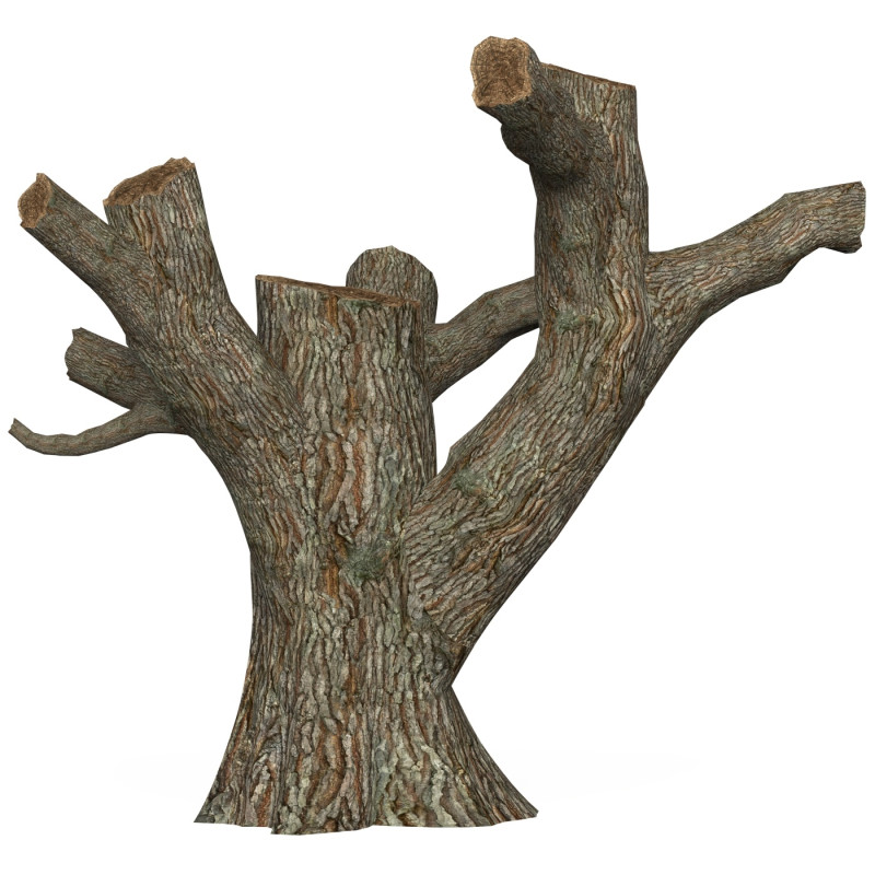 Game Ready Dead Tree 03 3D Model .c4d .max .obj .3ds .fbx .stl .blend