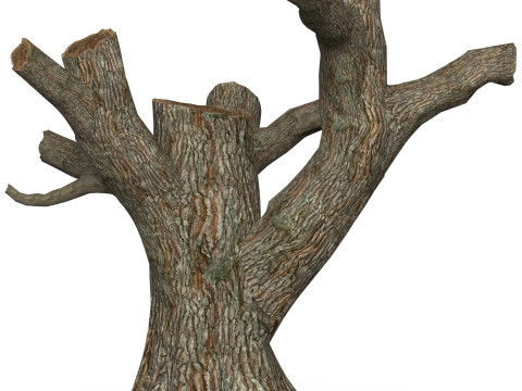 Game Ready Dead Tree 03 Modelo 3D