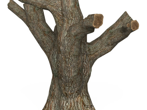 Game Ready Dead Tree 03 3D Model