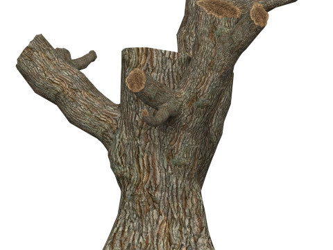 Game Ready Dead Tree 03 3D Model