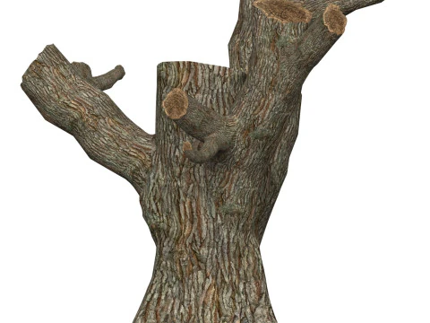 Game Ready Dead Tree 03 3D Model