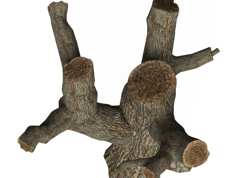 Game Ready Dead Tree 03 3D Model