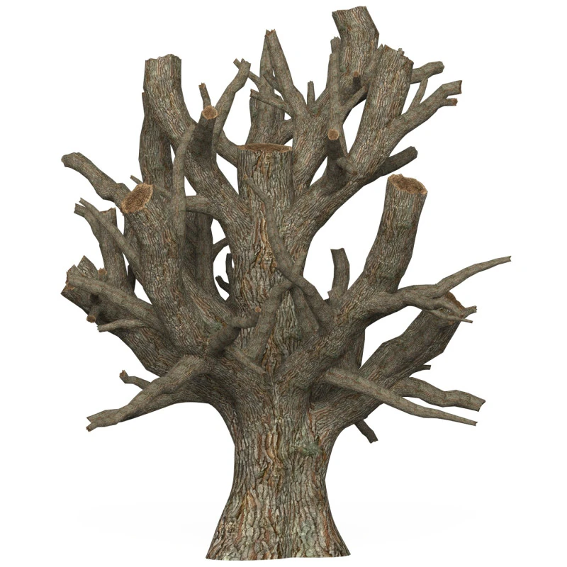 Game Ready Dead Tree 04 3D Model .c4d .max .obj .3ds .fbx .stl .blend 