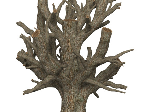 Game Ready Dead Tree 04 Modelo 3D