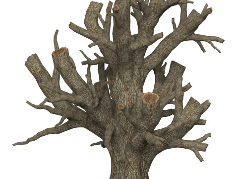 Game Ready Dead Tree 04 3D मॉडल
