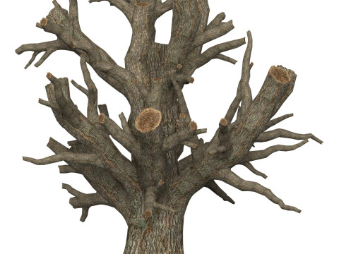 Game Ready Dead Tree 04 3D मॉडल