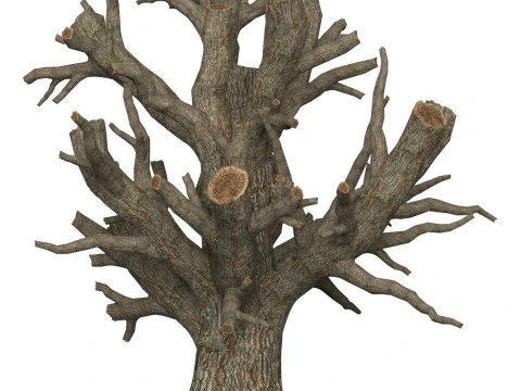 Game Ready Dead Tree 04 3D Model