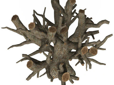 Game Ready Dead Tree 04 3D Model