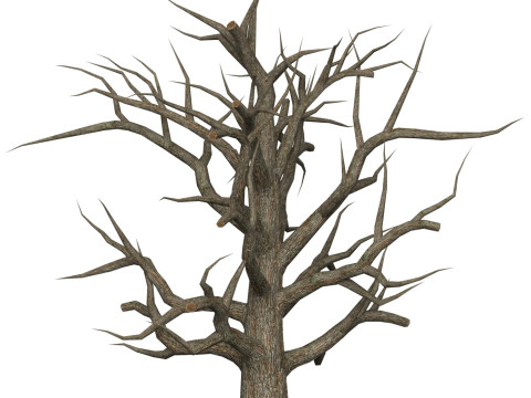Game Ready Dead Tree 05 Modelo 3D