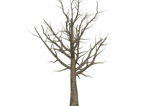 Game Ready Dead Tree 06 Modelo 3D