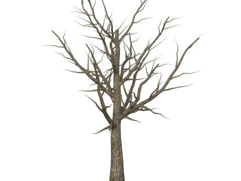 Game Ready Dead Tree 06 3D 模型
