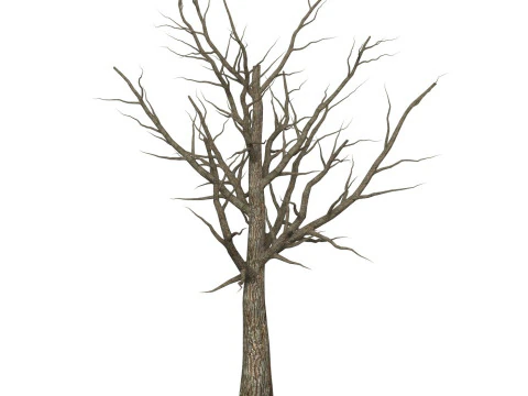 Jogo Pronto &Aacute;rvore Morta 06 Modelo 3D