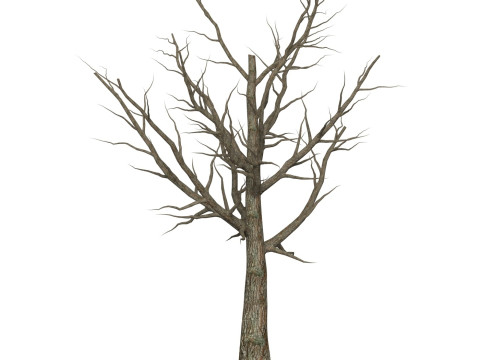 Game Ready Dead Tree 06 3D 模型