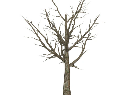 Jogo Pronto &Aacute;rvore Morta 06 Modelo 3D