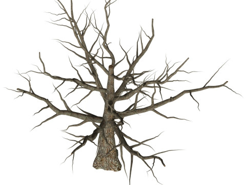 Game Ready Dead Tree 06 3D 模型