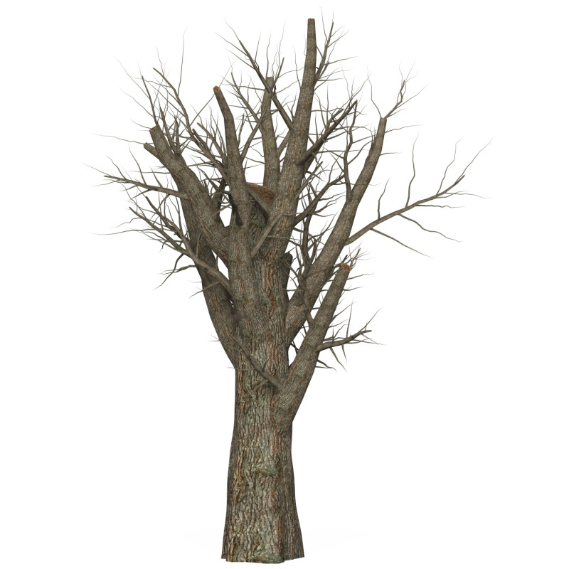 Game Ready Dead Tree 07 3D Модель .c4d .max .obj .3ds .fbx .stl .blend 