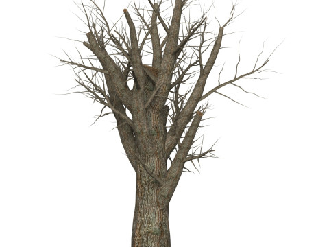 Game Ready Dead Tree 07 3D Model