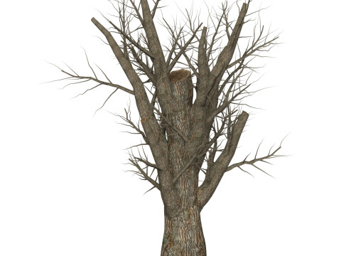 Game Ready Dead Tree 07 3D Модель