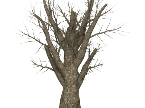 Game Ready Dead Tree 07 3D Модель