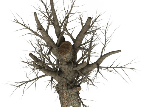 Game Ready Dead Tree 07 3D Модель