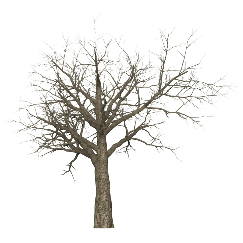 Spielbereit Dead Tree 08 3D Modell .c4d .max .obj .3ds .fbx .stl .blend 