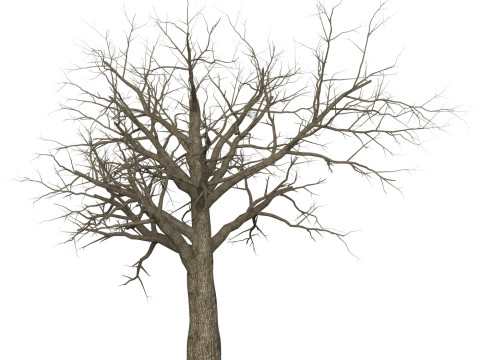 Game Ready Dead Tree 08 Modelo 3D