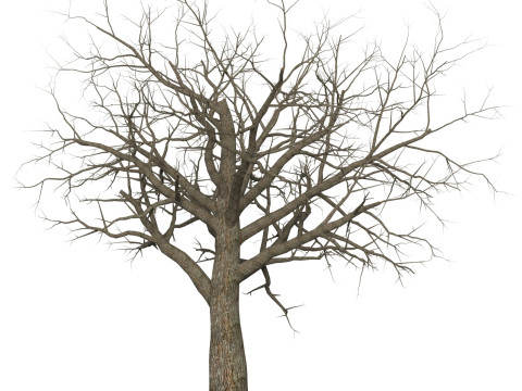 Game Ready Dead Tree 08 3D 模型