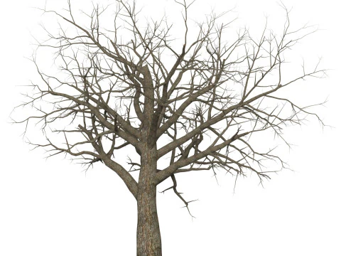 Spielbereit Dead Tree 08 3D Modell
