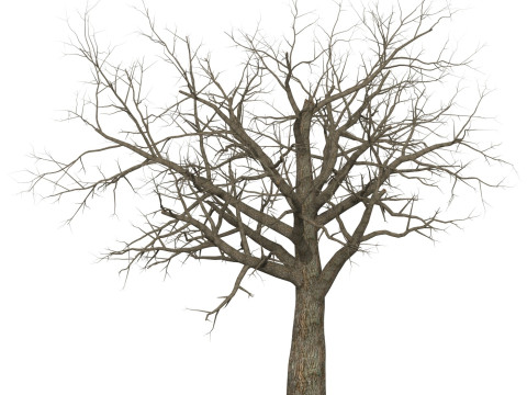 Game Ready Dead Tree 08 3D 模型