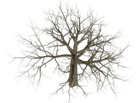Game Ready Dead Tree 08 3D 模型