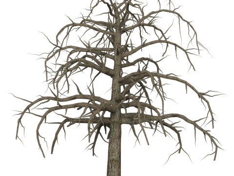 Game Ready Dead Tree 09 3D 모델