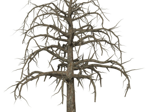 Game Ready Dead Tree 09 3D 모델