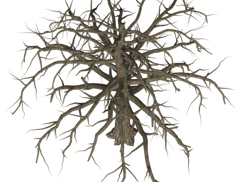 Game Ready Dead Tree 09 3D 모델