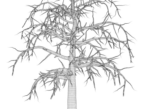 Game Ready Dead Tree 09 3D 모델