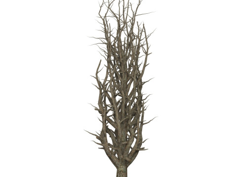 Game Ready Dead Tree 10 3D 모델