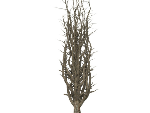 Game Ready Dead Tree 10 3D 모델