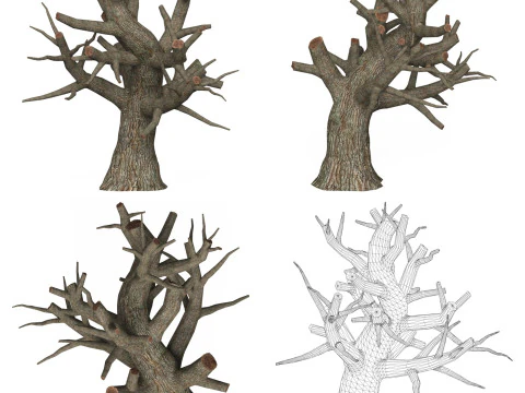 Collezione di alberi morti pronta per il gioco Modello 3D