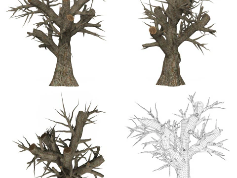 Collezione di alberi morti pronta per il gioco Modello 3D